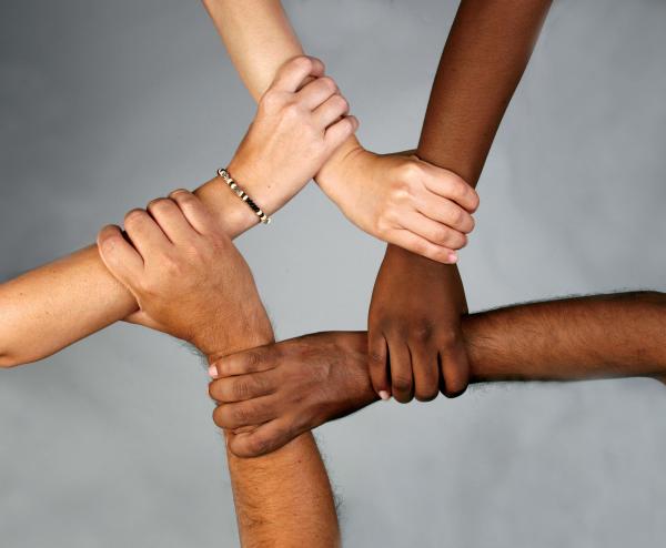 "You Only Got in Because You’re Black..."