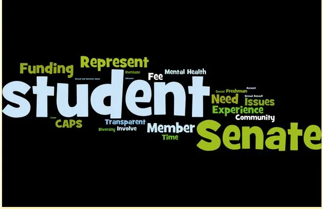 Buzzword, Buzzword, Blah, Blah, Blah: Why We Tune Out ASSU Senate Campaigns